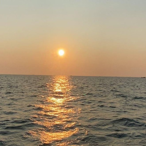 毛片免费观看视频黄色毛片
